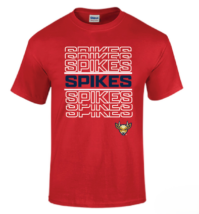 State College Spikes ND2544 T-Shirt
