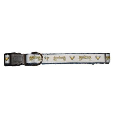 State College Spikes Dog Collar